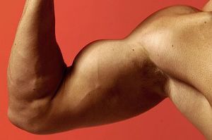 flexing-biceps